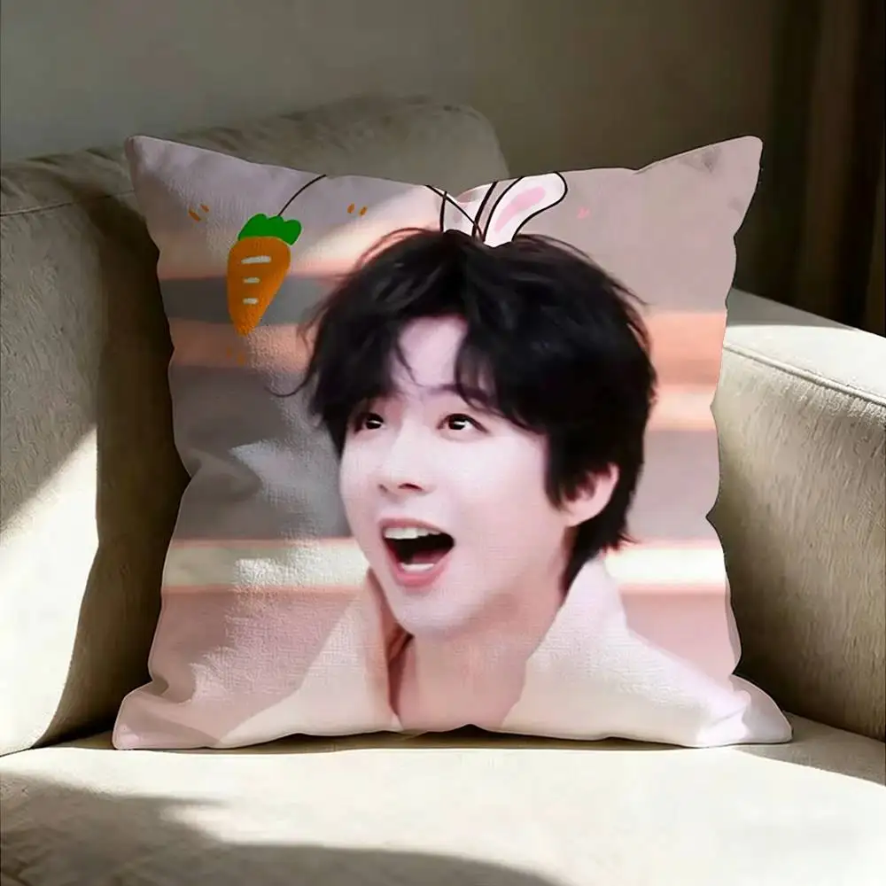 Liu Yu Ning Wei Shao The Prisoner of Beauty  Various Sizes Square Pillow Case For Car Home Bedchamber Decor