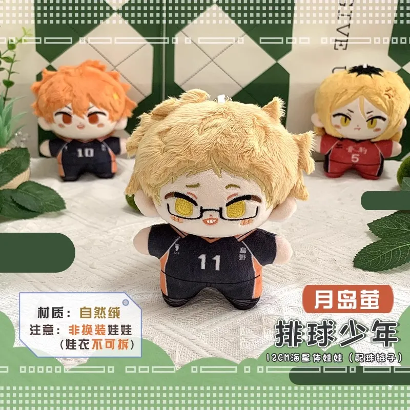 Haikyuu Volleyball plush dolls Yu Nishinoya Oikawa Tooru Miya Atsumu Shoyo Hinata Toys Stuffed Animals boys girls kids gifts