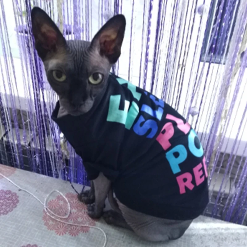 Classica Sphynx Cat T Shirt Camicie Primavera Autunno Vestiti per animali domestici per gatti Gotas Katten Kedi Vest Cane mascotas Abbigliamento