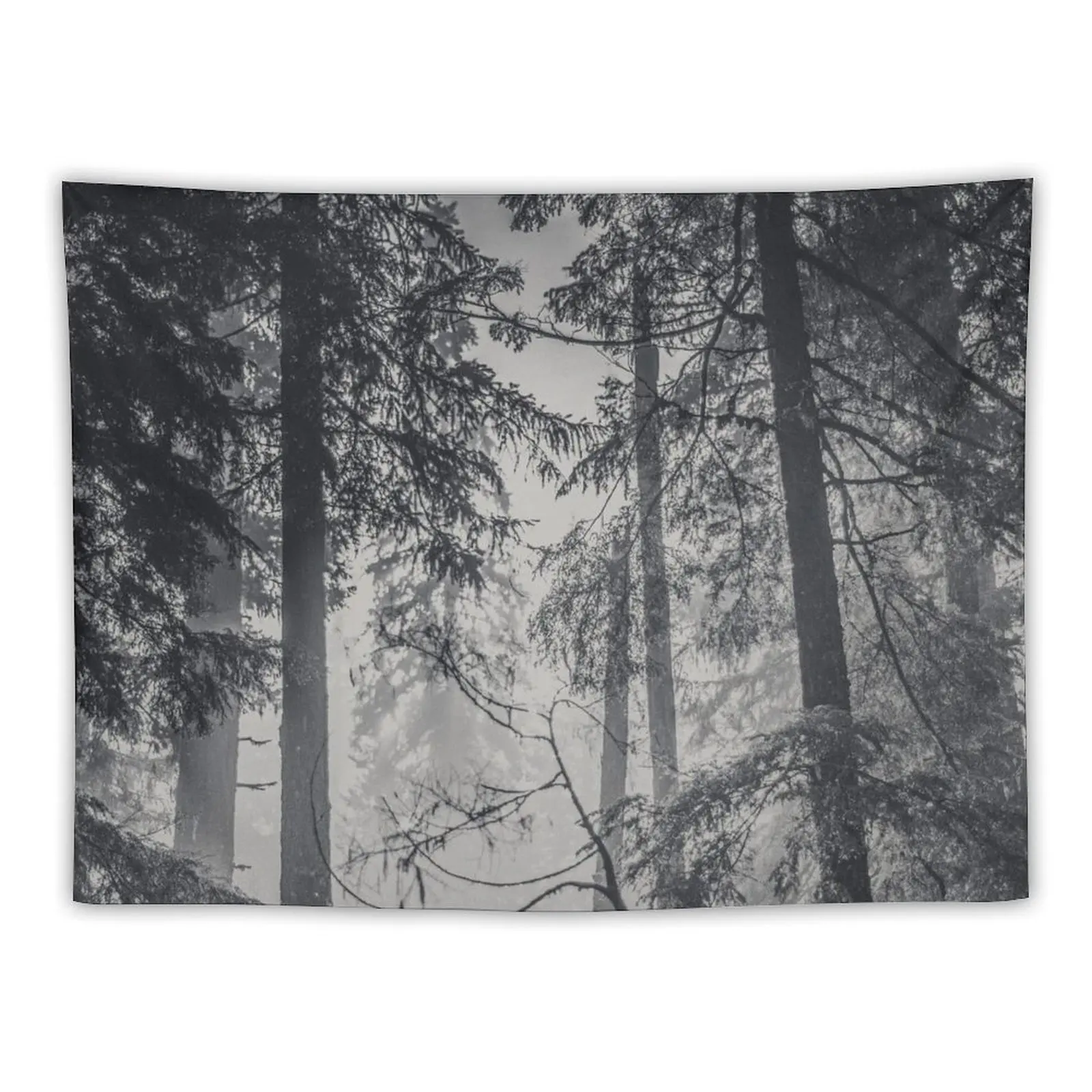 

Nature Forest - Black and White Trees in Winter Tapestry Bedroom Deco Decorative Paintings Tapestry
