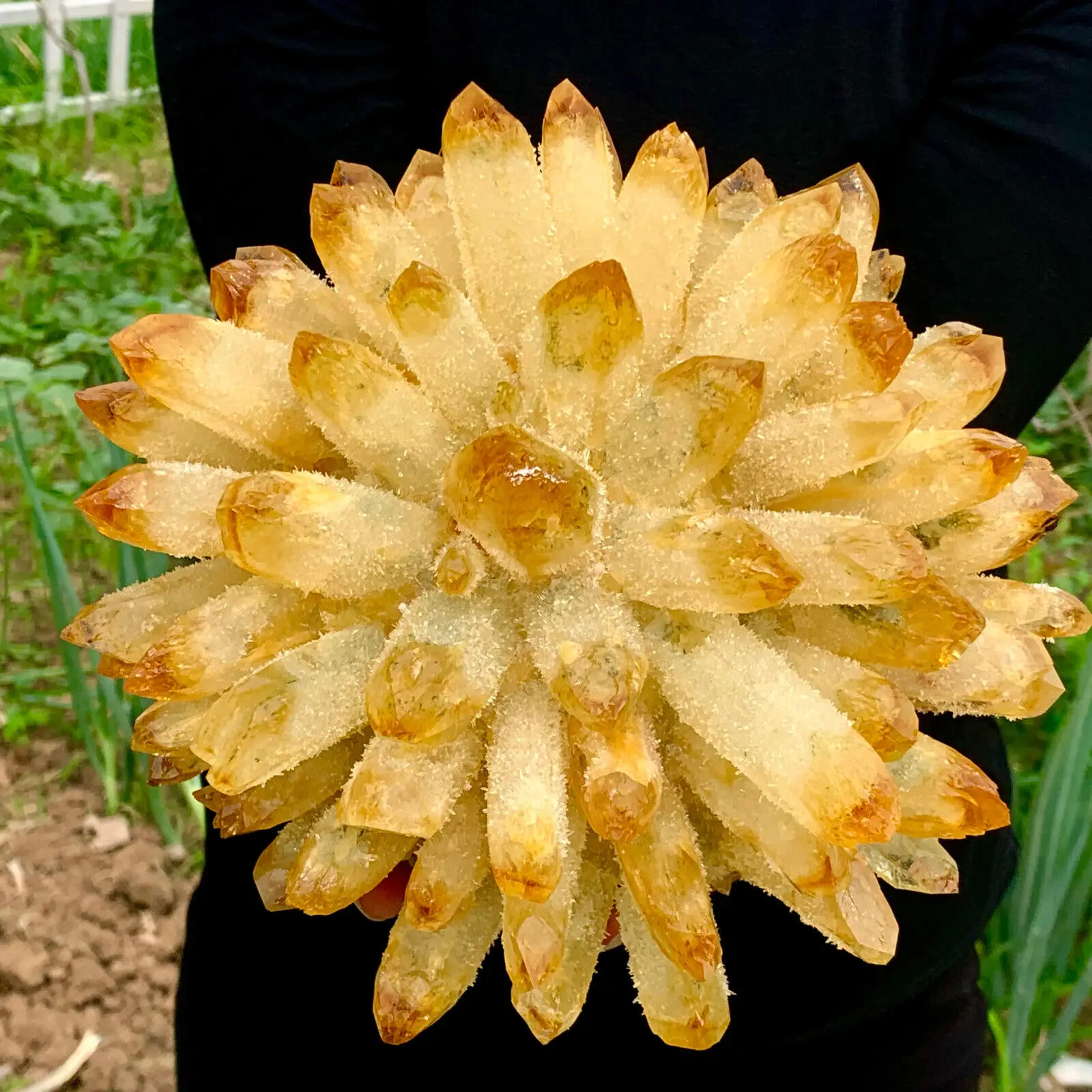 Beatiful yellow Tibetan Quartz Crystal Cluster Specimen Healing