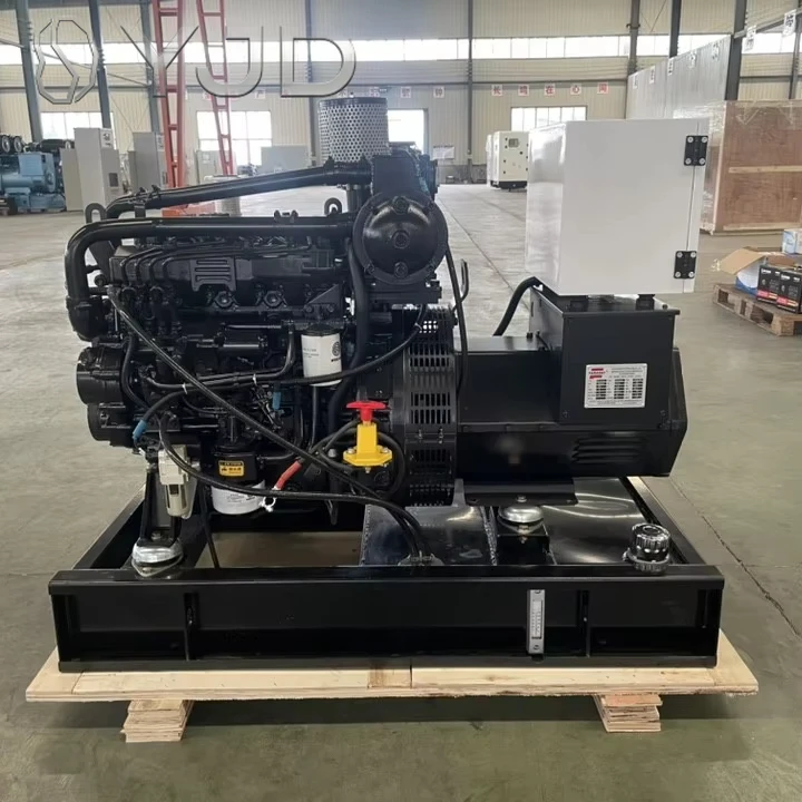 20kw Liquid Propane/natural Gas Home Standby Generator Water Cooled Brushless Turbine Biogas/lpg/diesel Fuel 220v Ac Output