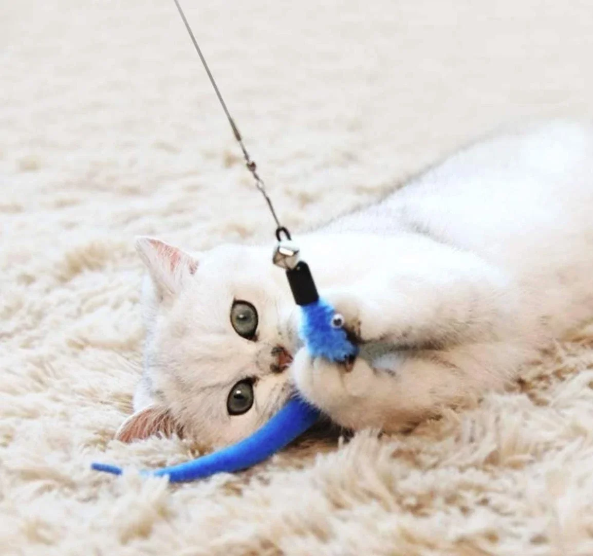 11pcs Remplacement Plume de Chat Jouet Ensemble Plume Tête de Remplacement Rétractable Chat Bâton Chat Produits