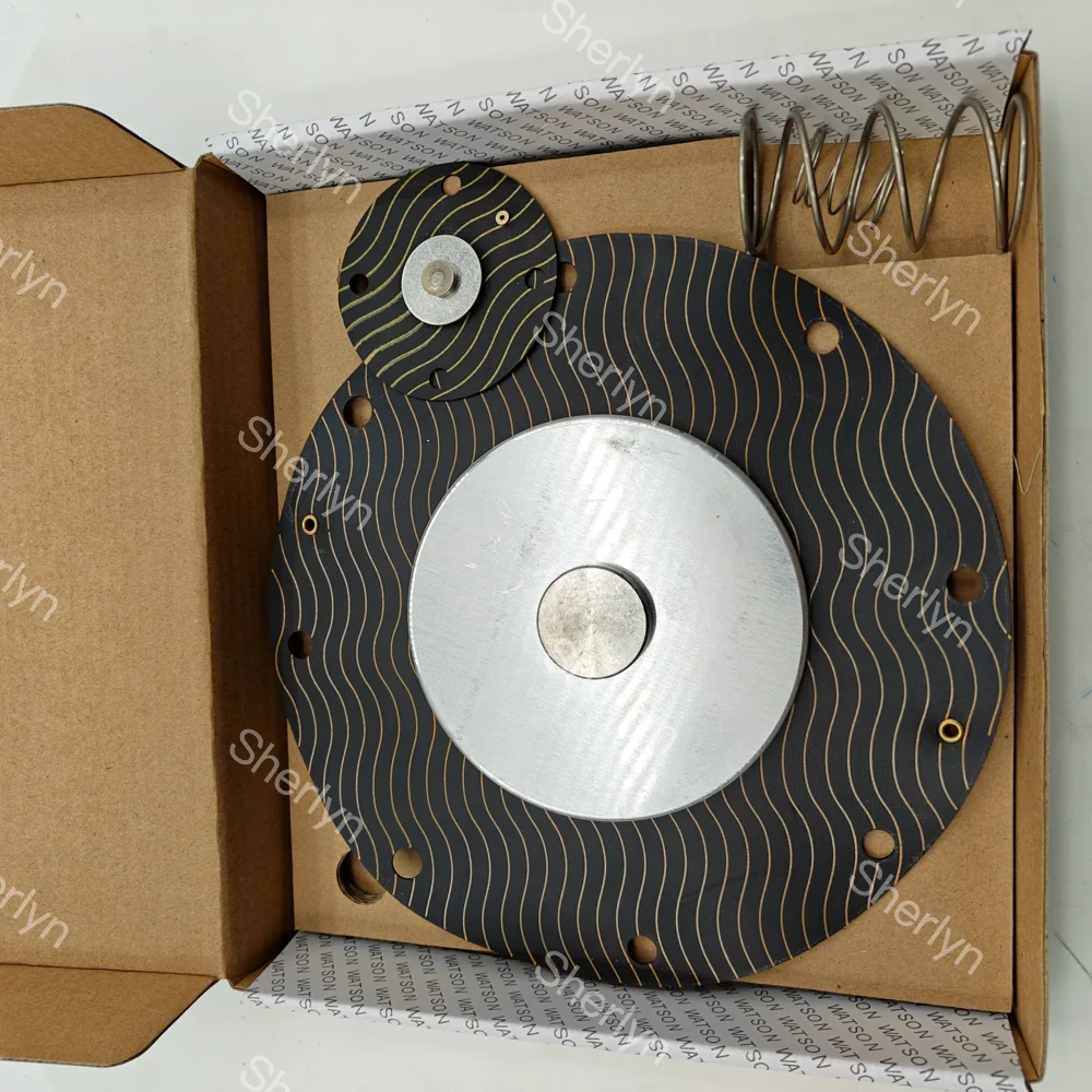 واتسون 4 بوصة صمام النبض الحجاب الحاجز WPS-CA/EP102 WPS-CA/EP76 صمام النبض المغمور #6