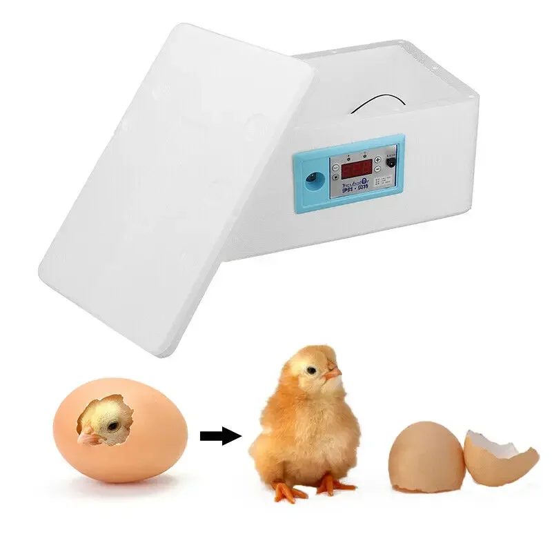 20 Eggs Incubator 12V Automatic Digital Family Incubator Chicken Poultry Hatcher Foam Waterbed Incubator Farm Incubation Tools