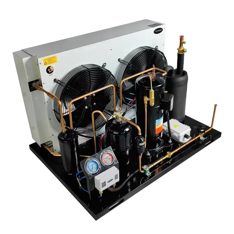 BesCool New Hermetic Scroll Invotech Compressor Condensing Unit Open-Air Cooling Chiller for Walk-In Freezer Refrigeration