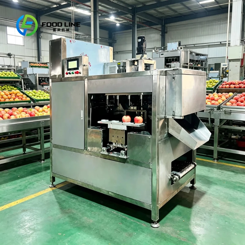 Customized Commercial Stainless Steel Apple Peeling and Coring Machine Easy Clean for Food Processing Line Automatic Peeler