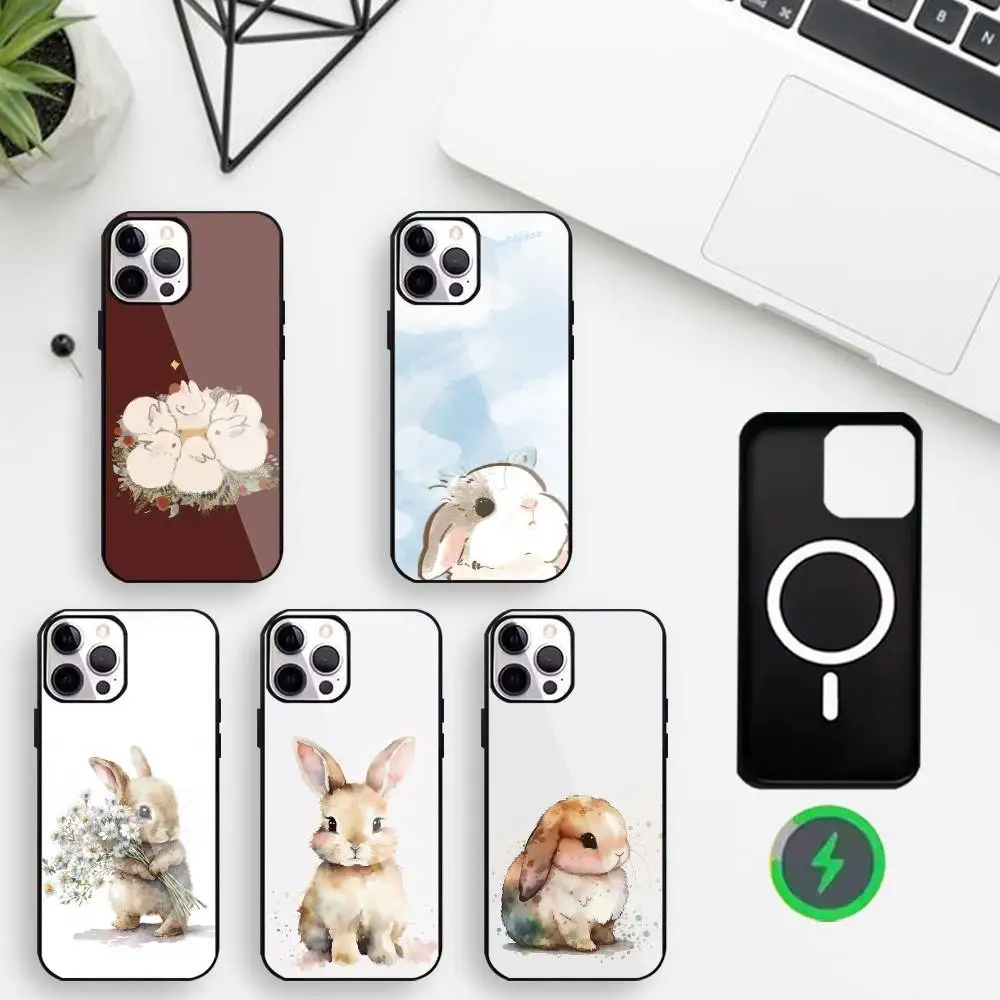 

Cute rabbit Phone Case For iPhone17,16,15,14,13,12,Wireless charging protective case soft cover