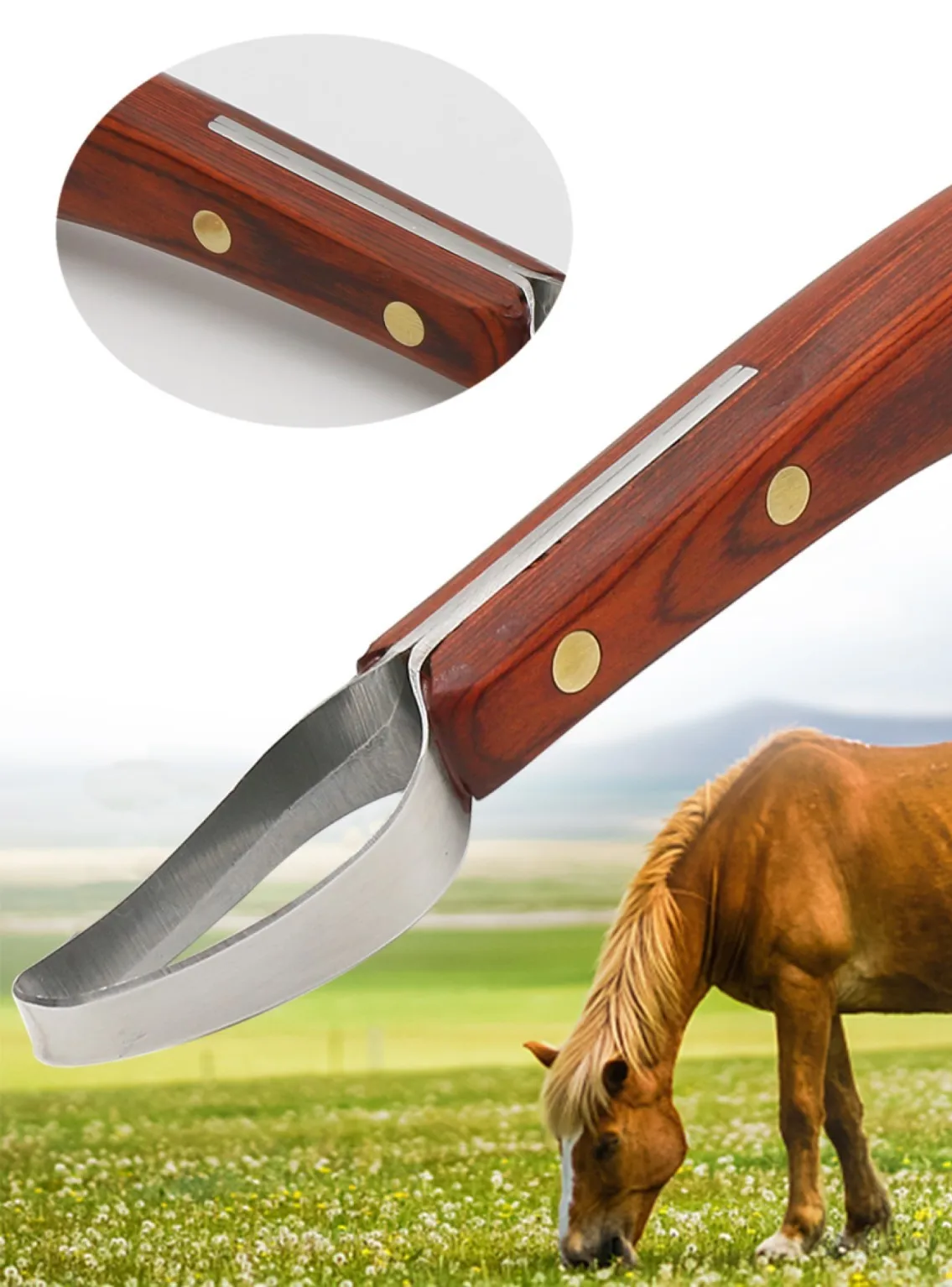 

Ring Blade Horseshoe Knife 1Pc Stainless Steel Double edged Wooden Handle Hoof Trimming Knife Sheep Cattle Hoof Trimming Tools