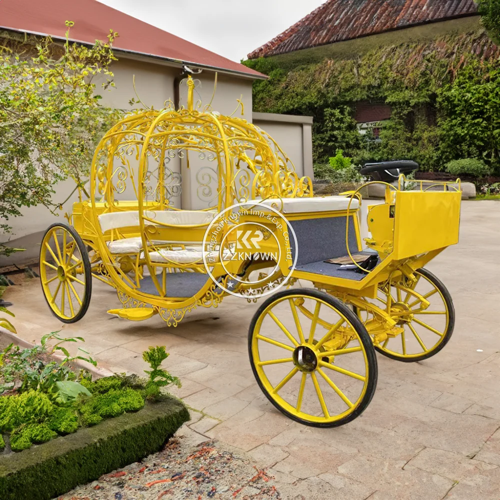 Luxury Horse Carriage Visiting Carriage With LED Light Romantic Pumpkin Wedding Carriage