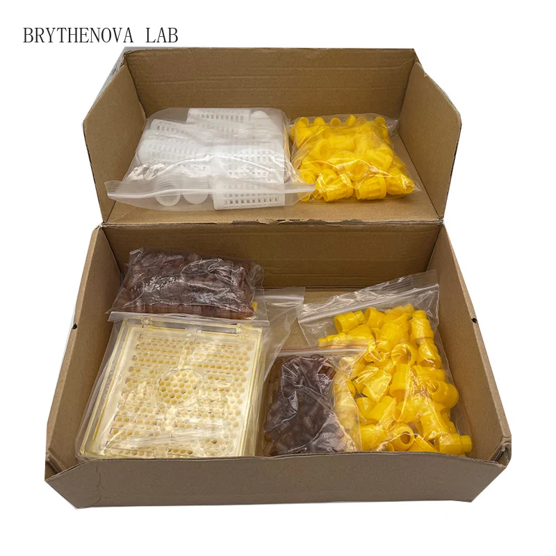 Germany Jenter Queen Rearing Kit Nicot Bee Queens Rearing System Larva Bee Move Cage Goods Tool for Beekeeper Supplies