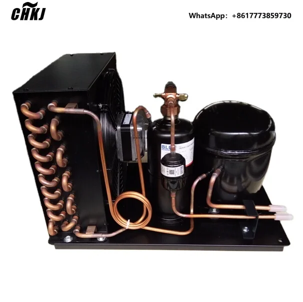 

CHKJ Micro DC110v/220v Liquid Chiller Refrigeration Condensing Units New & Used Freezer Compressor Spare Parts