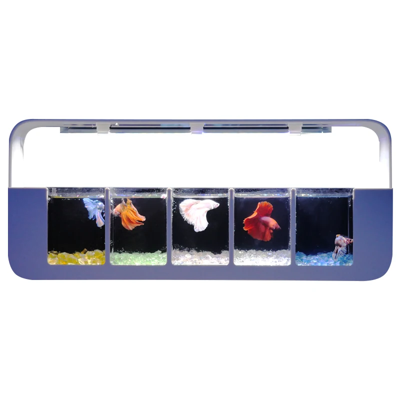 Creative Home Ecological Desktop Tank Multi-Grid Moonlight Jellyfish Integrated Rowing Tank Moonlight Eco-Friendly Plastic