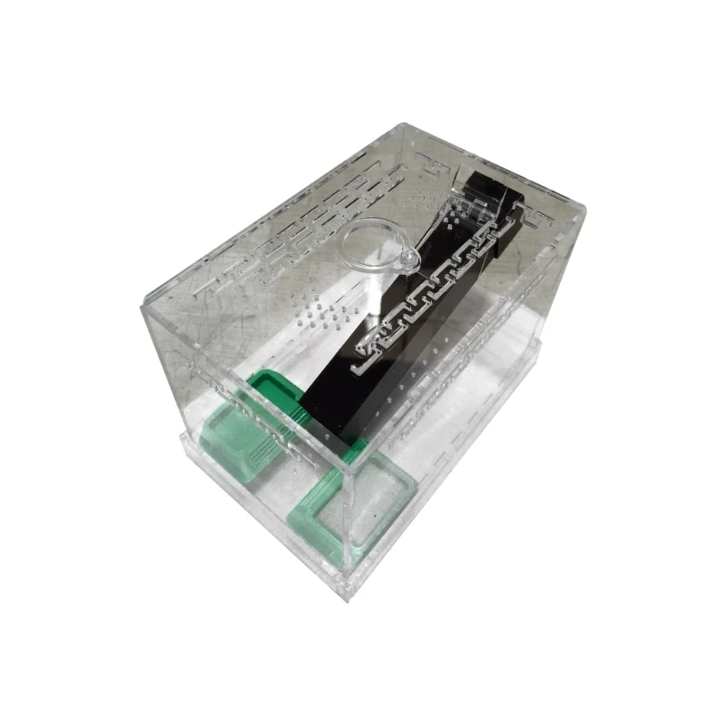 

Oversized Cricket Habitat Containing Ventilation Lid and Transparent Chamber