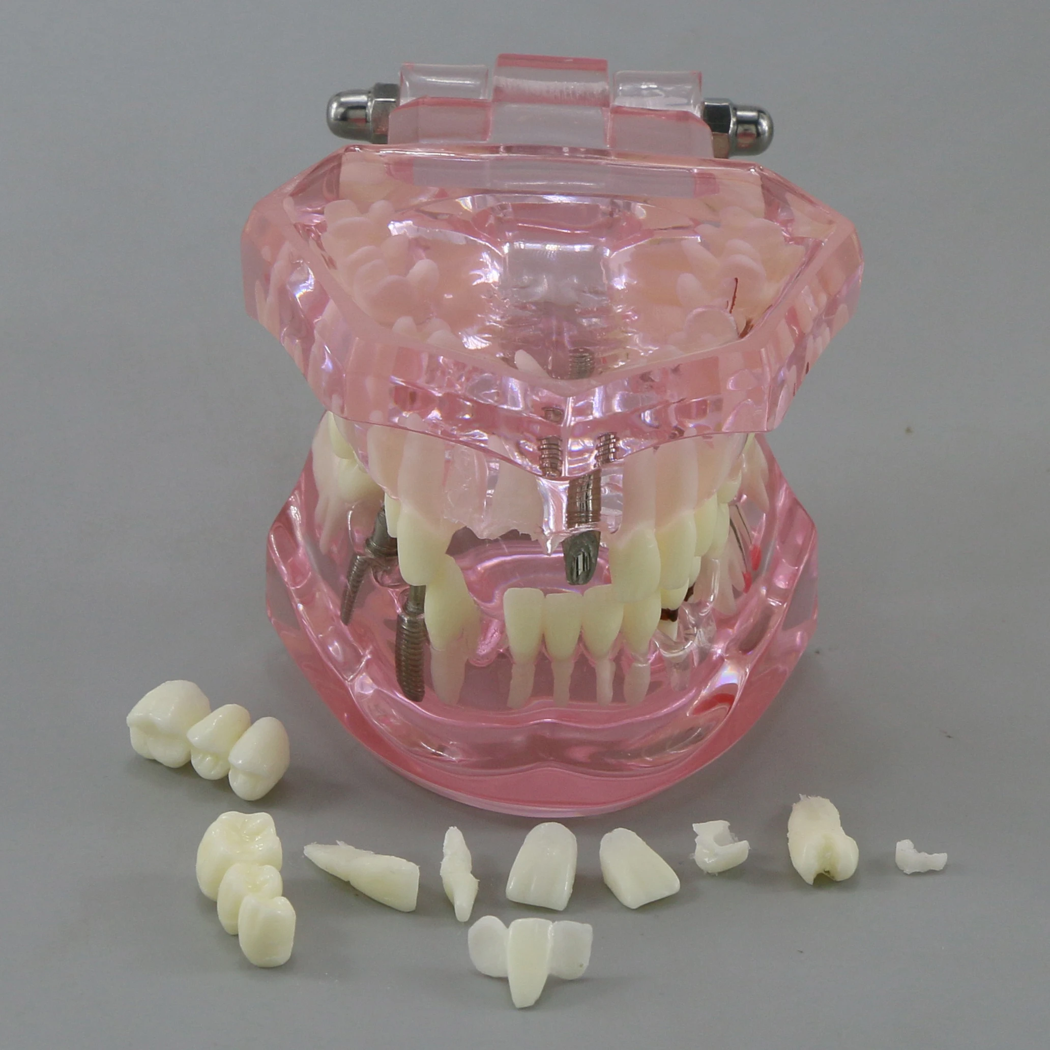 Thumbnail 2 - #25 Latest Dental Teaching Models Offers