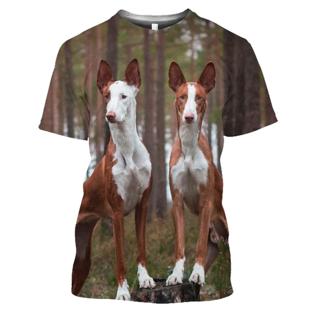 Hound Dogs Hunting 3D T Shirt Men's Women's Teenage 6Xl Dog Quick-drying large size sweatshirt Summer Short Sleeve Harajuku Top