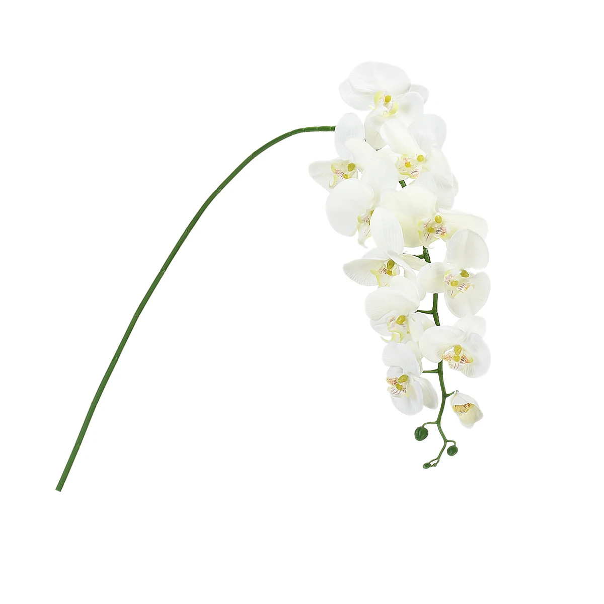 Simulated butterfly orchid ornament living room potted plastic silk flower artificial flower living room decorative flower