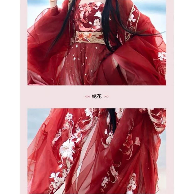 Elegant Fairy Hanfu Women Floral Embroidery Sheer Chiffon Wide Sleeve Overshirt Ancient Chinese Cosplay Long Flowy Maxi Dress view 6