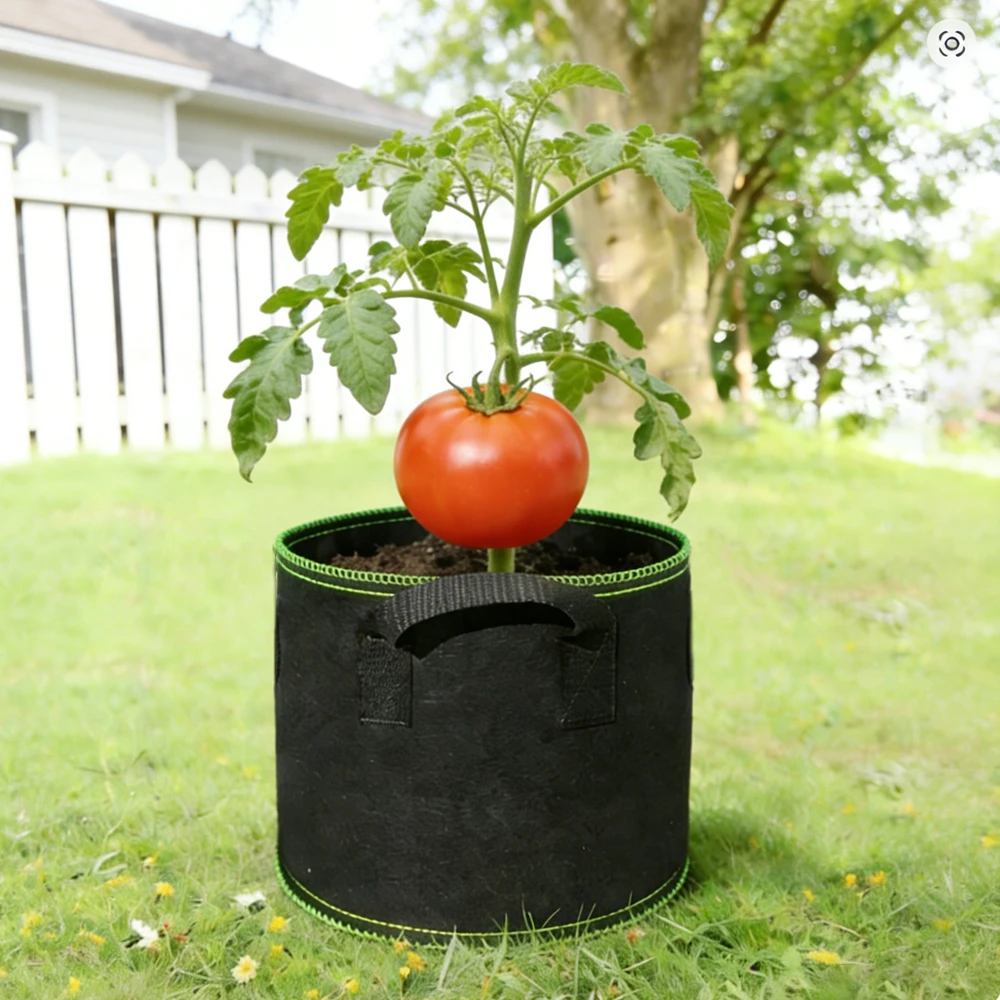 3/5/10/20 Gallons Grow Bag with Handles Garden Plants Vegetable Flower Seedling Potato Non-woven Fabric Flower Pot Planting Tool