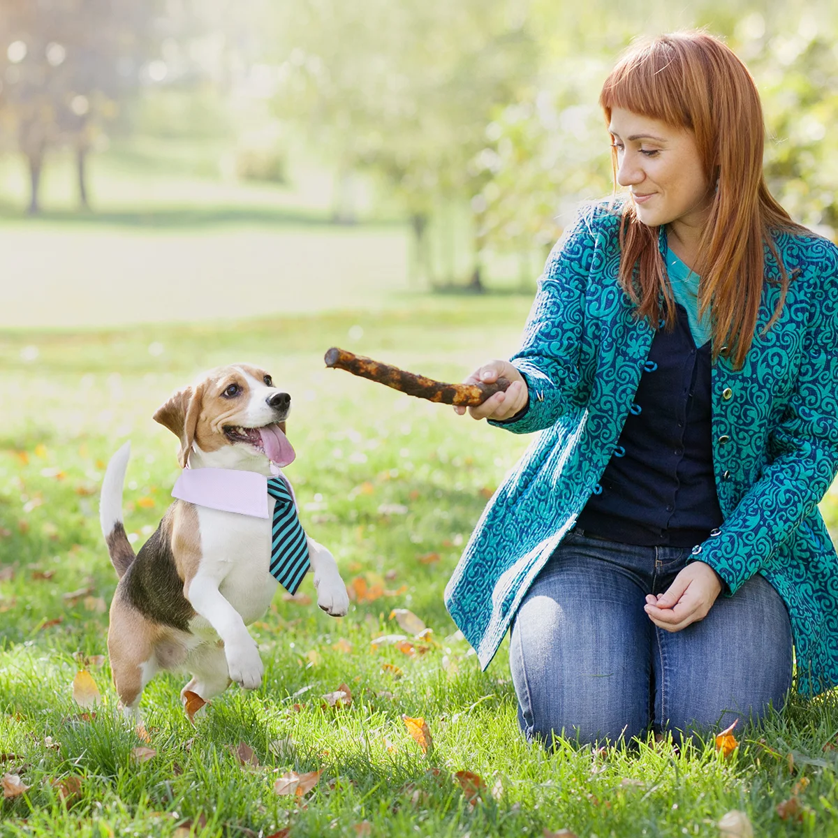 

2Pcs Dogs Neck Collars Skull Neck Ties Breathable Cotton Adjustable Pet Neckband Halloween Christmas Party Costume