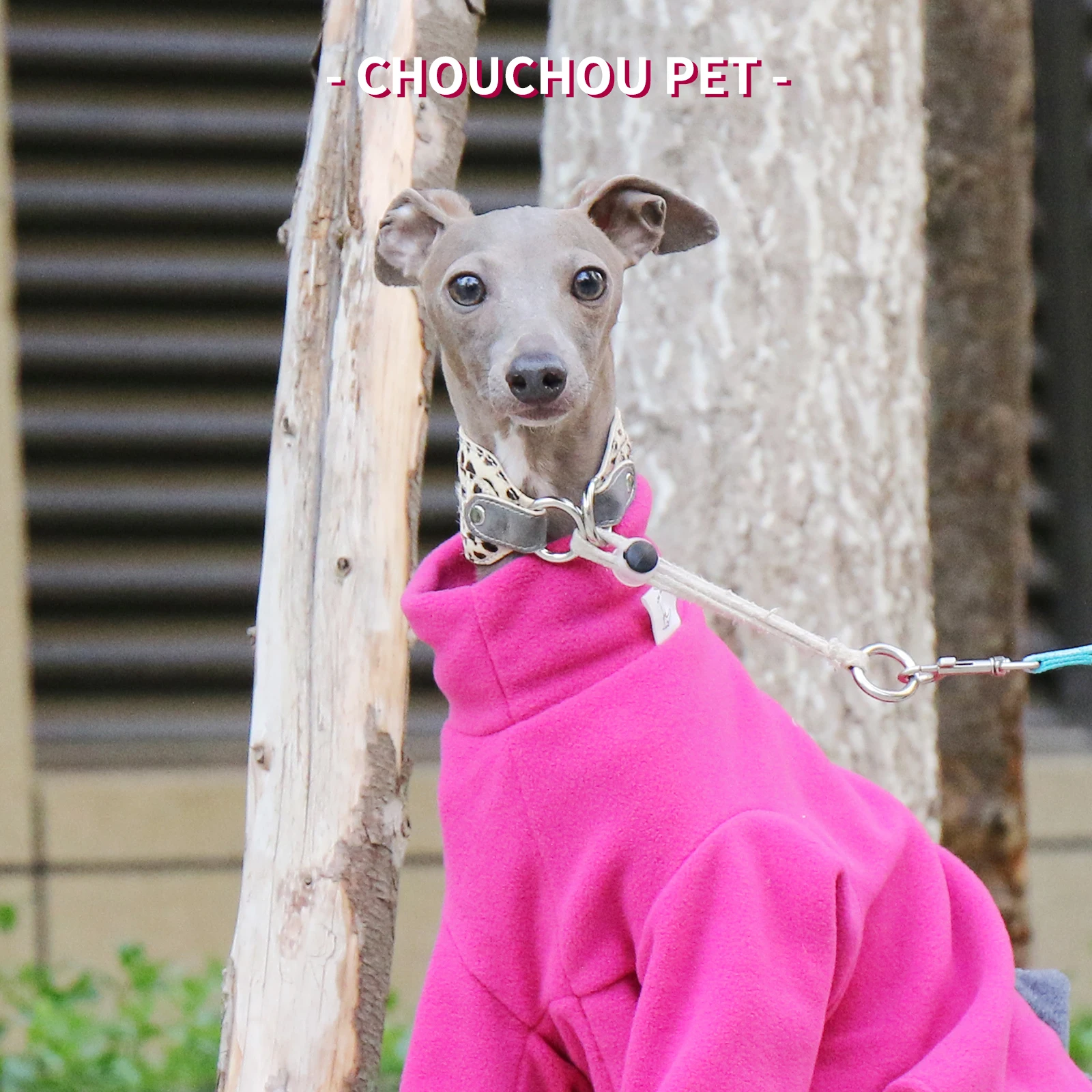 Cute Winter Puppy Clothes Polar Fleece Warm Dinosaur Cotton Clothes Italian Greyhound Whippet Clothes Rose red