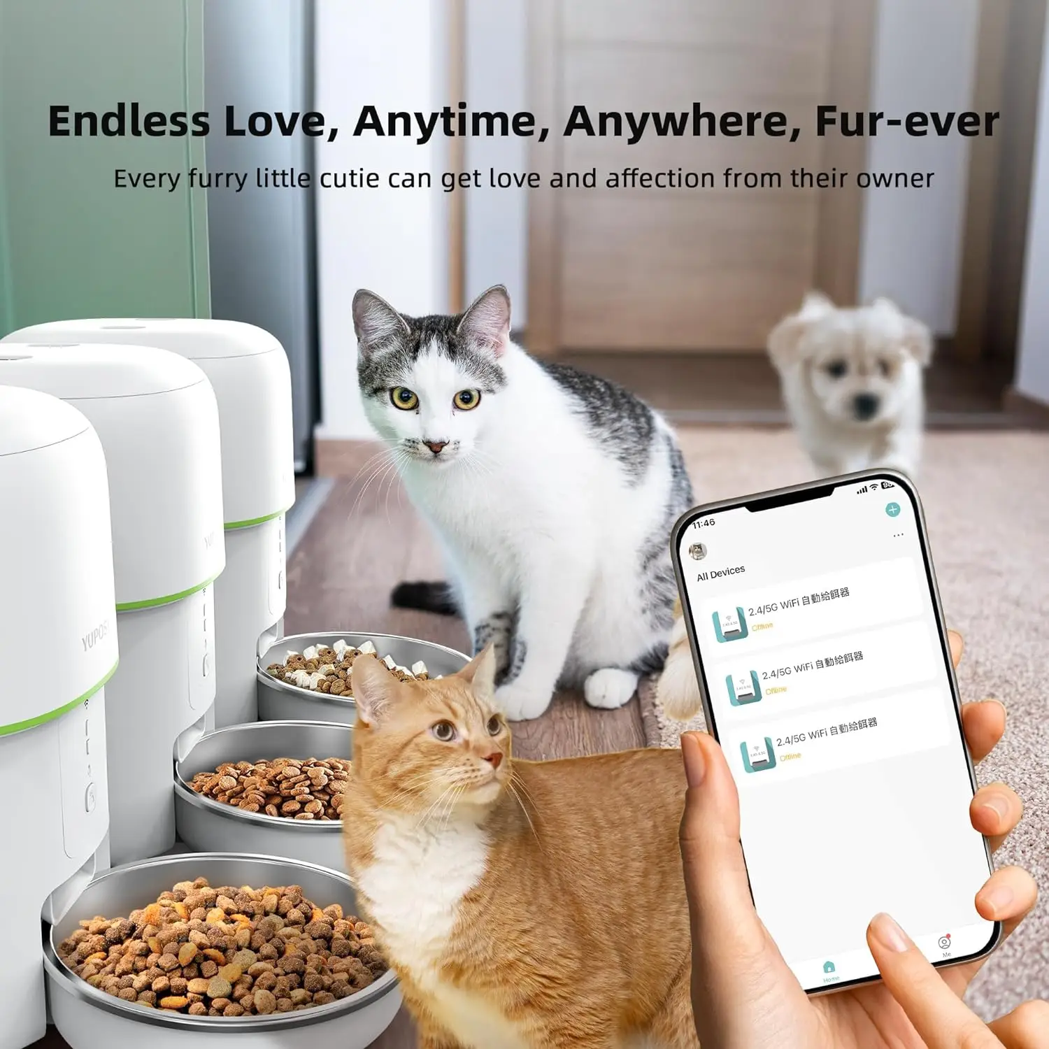 Automatic Cat Feeders 5G WiFi 4L Smart Tuya APP Control Furpipi Pet Feeder for Remote Feeding Automatic Cat Dog Food Dispenser