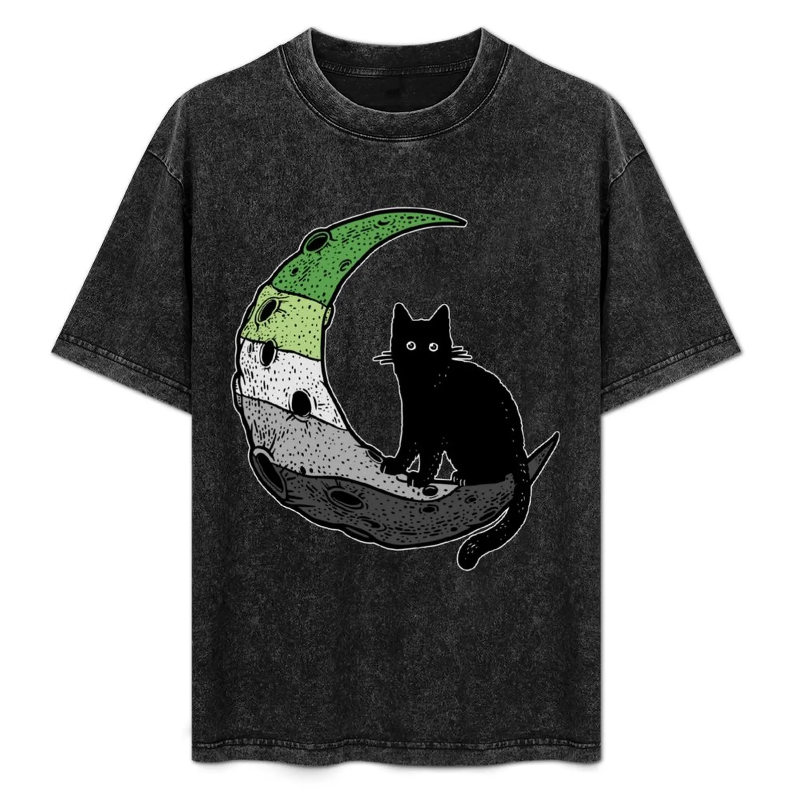 Aromantic Cat Moon T-Shirt Plus Size Loose Fit T-Shirt