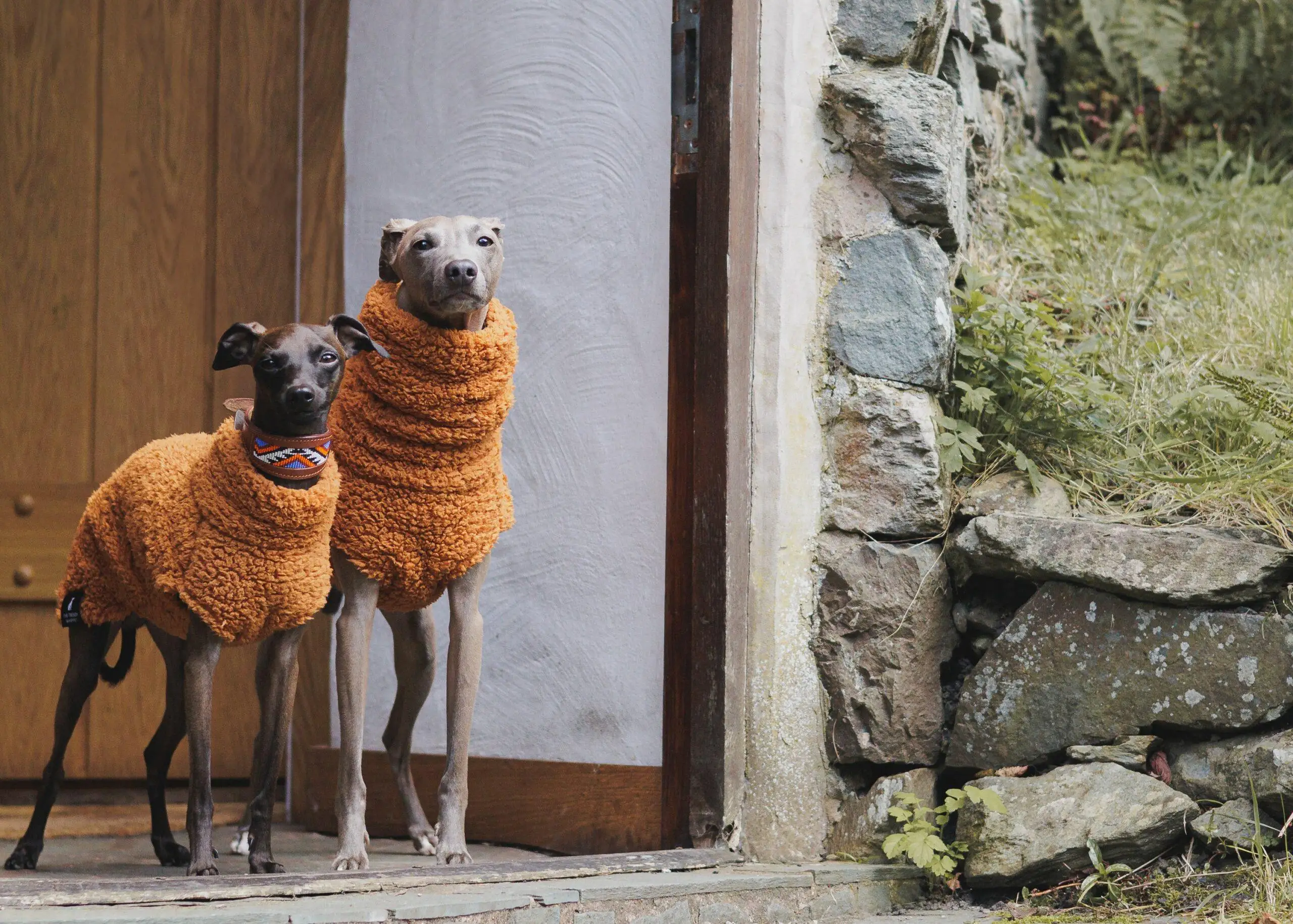 Winterlicher orangefarbener Fleece-Pullover für Whippet-Hunde, hochgeschlossener, dicker, warmer Sweatshirt mit Ärmeln für ungarische spanische Windhundkleidung – Detail 9
