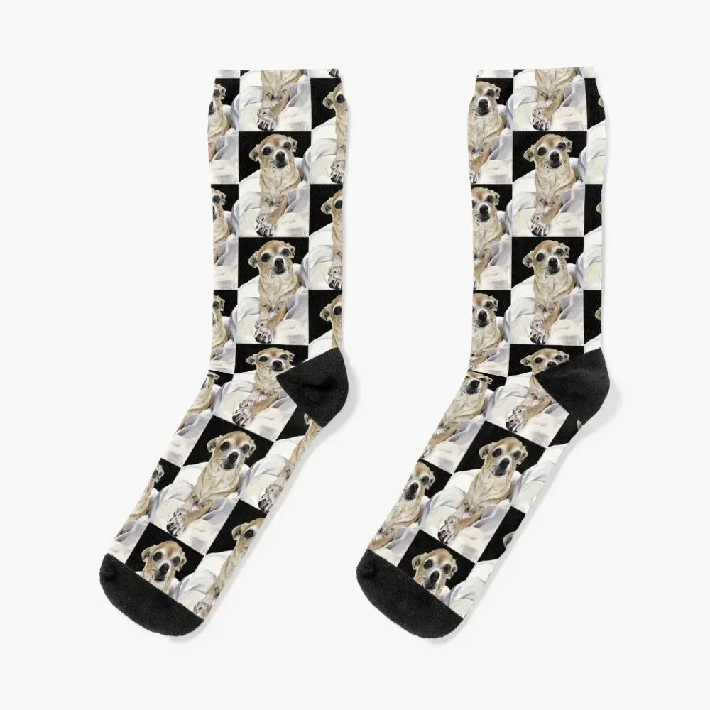 

Chihuahua - Digital w/ background Socks New year's Stockings man cartoon warm winter Socks Male Women's