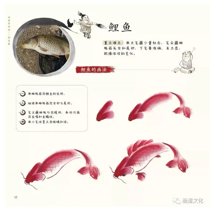 Hot Selling Gift Video Tutorial L Want To Learn Chinese Painting Introductory Flowers Birds Vegetables Fruits Fish