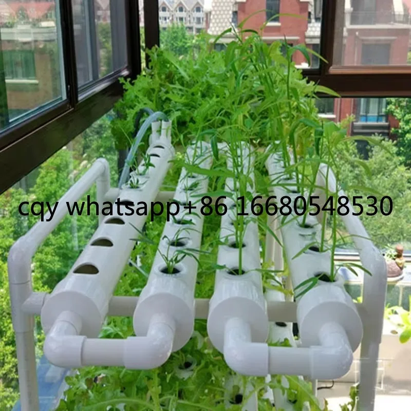 Lo Small Home Growi… - image