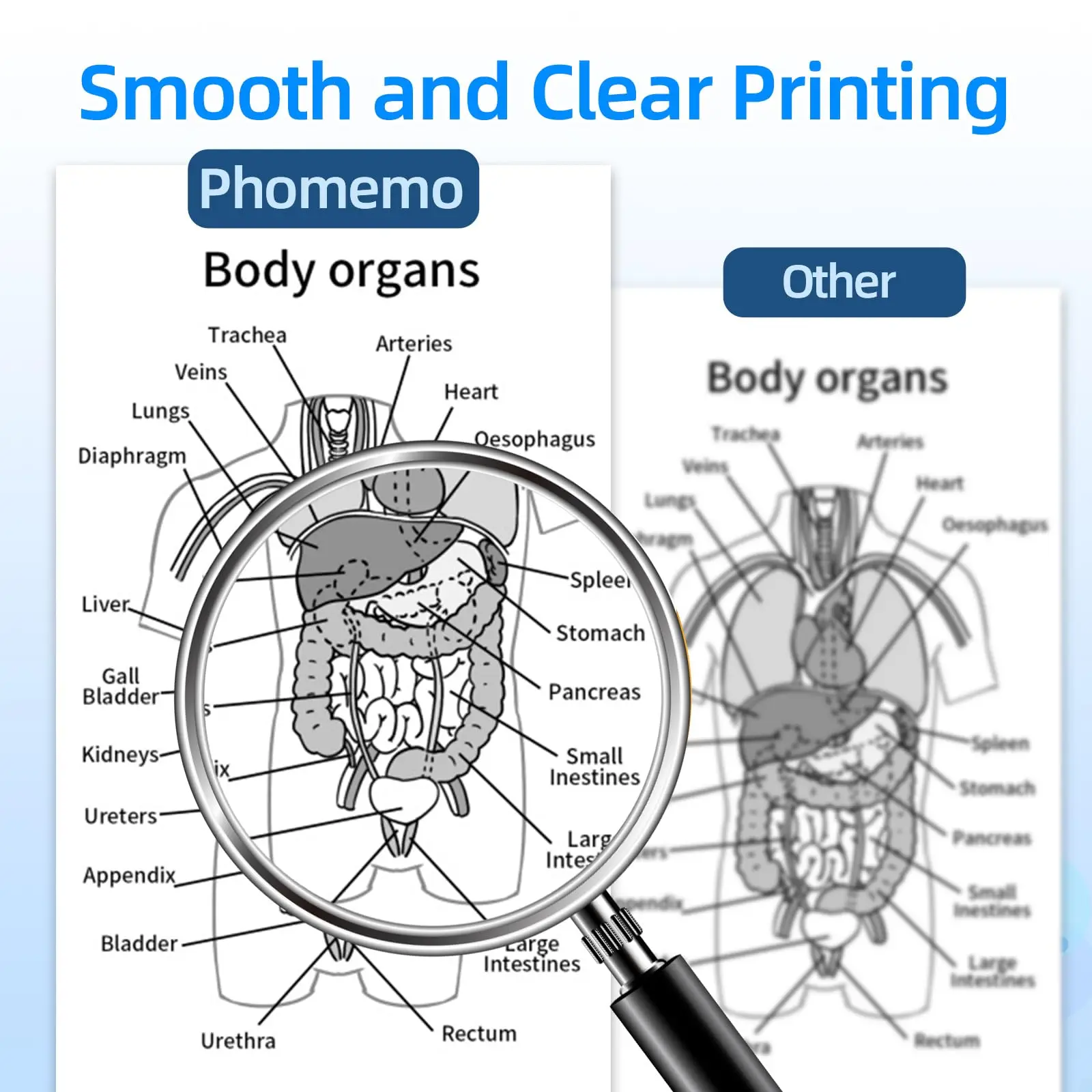 Phomemo A4 Thermal Printer Paper Quick-Dry Multi-purpose Thermal Paper Tattoo Paper for M832 M835 M834 Other A4 Portable Printer