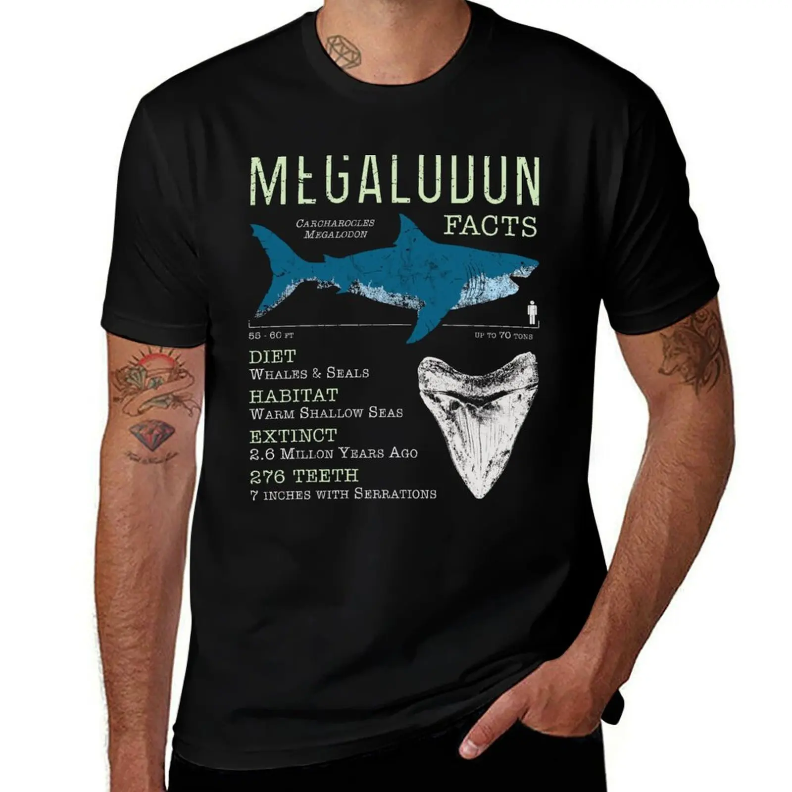 

Megalodon Facts T-Shirt t shirt custom print t shirt man plain
