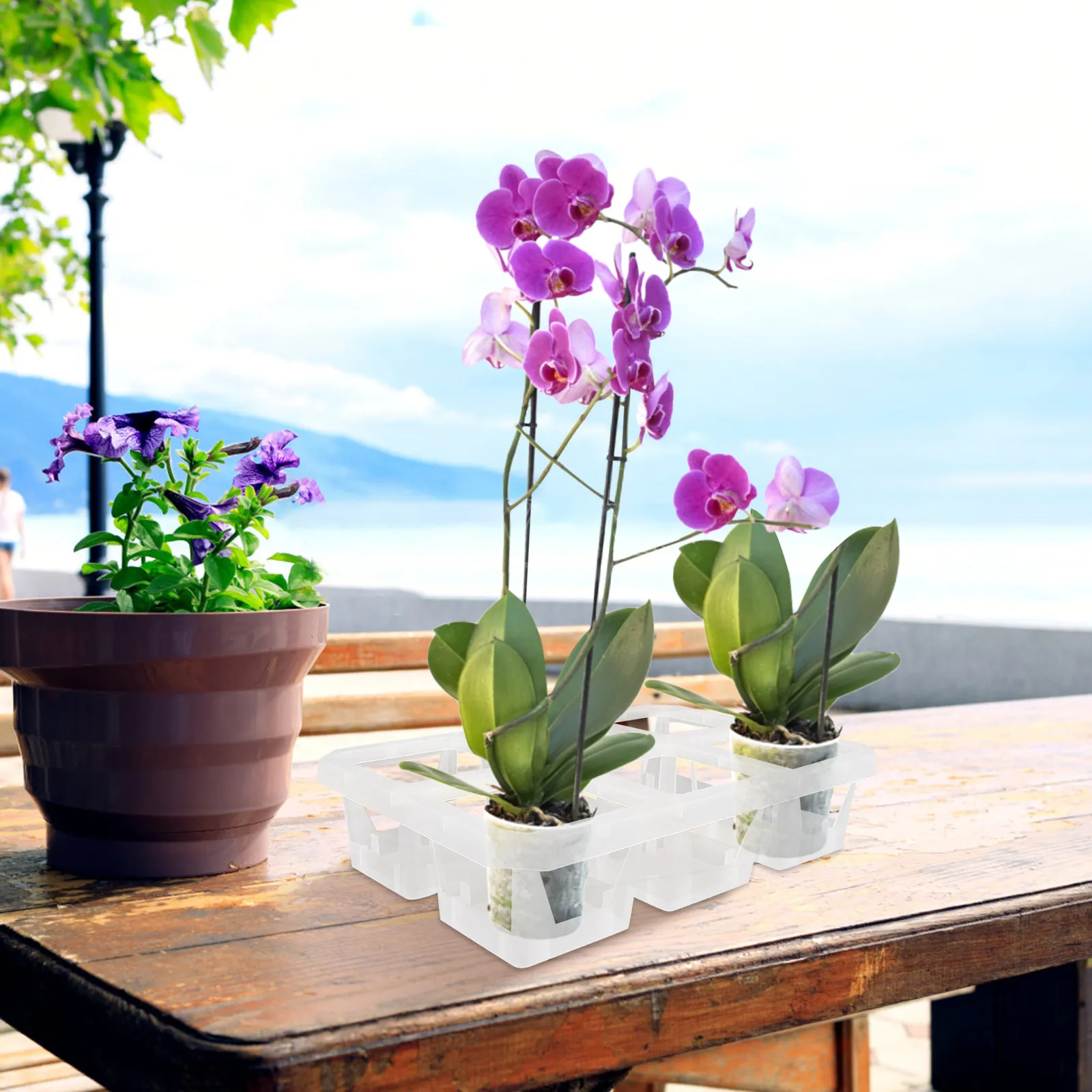 

Набор из 2 пластиковых горшков для орхидей Butterfly Lan с 6-ярусным поддоном для здорового роста растений, стильной подачи и удобства использования