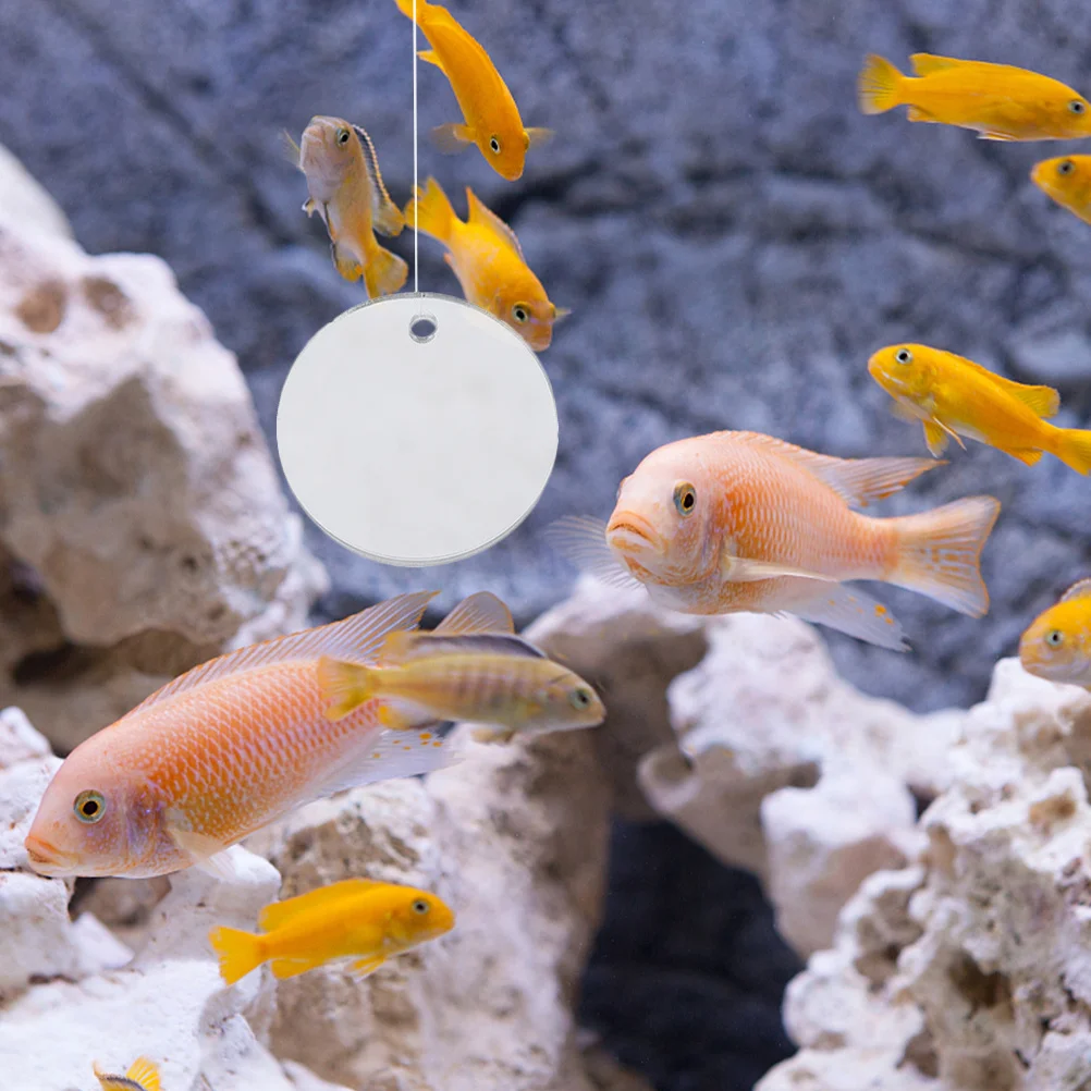 1 قطعة مرآة تدريب بيتا على الوجهين كرة طافية خزان الأسماك أداة التمرين حوض السمك ديكور بيتا الأسماك الملحقات