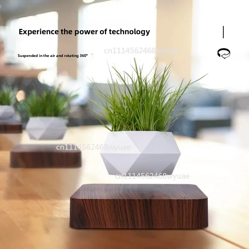 Magnetic Levitation Flower Pot Wood Carving Trendy Living Room Decor Creative Bulb Gift