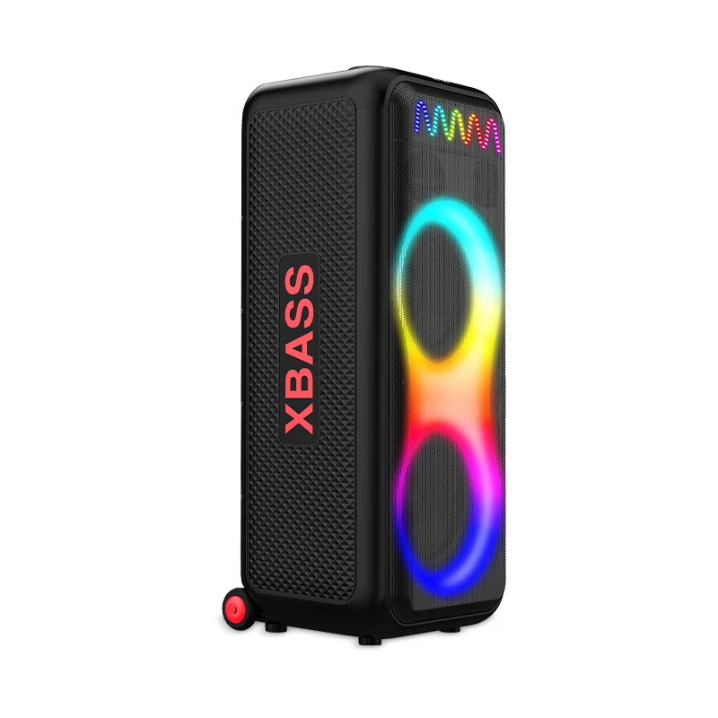 Big TWS  Speaker Dual 10 Inch Party Speaker With Wireless Microphone Dazzling Lights