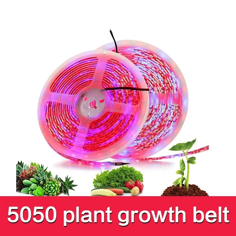 

LED Grow Light Full Spectrum LED Strip Plant Lamp 5m Growing Light 12V Phyto Lamp Growth Greenhouse Hydroponic Lighting SMD 5050