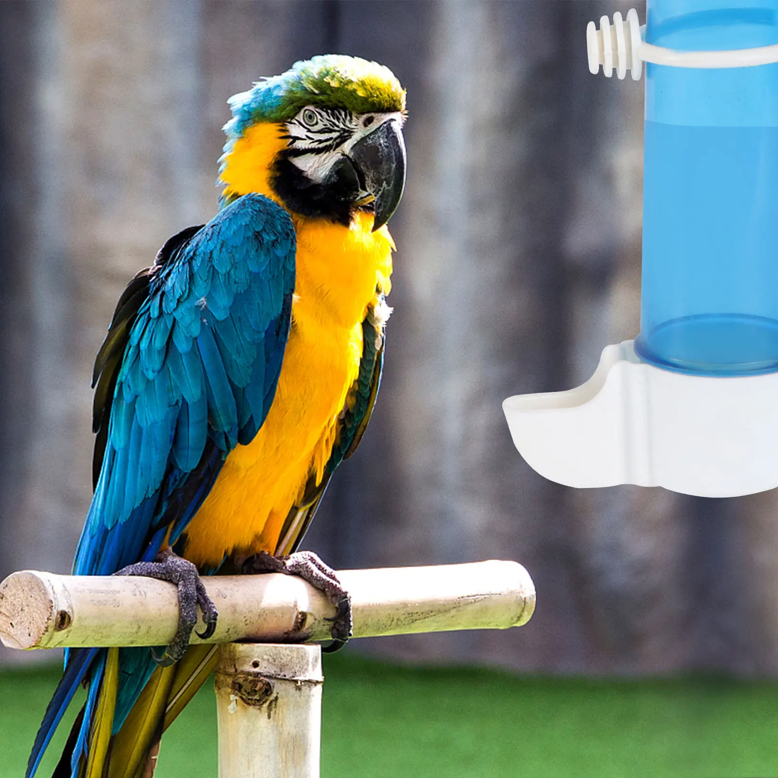 

1Pcs Automatic Bird Water Dispenser Not Easy to Deform Selected Plastic Material Space Saving Bird Feeding Tool for Pet Birds