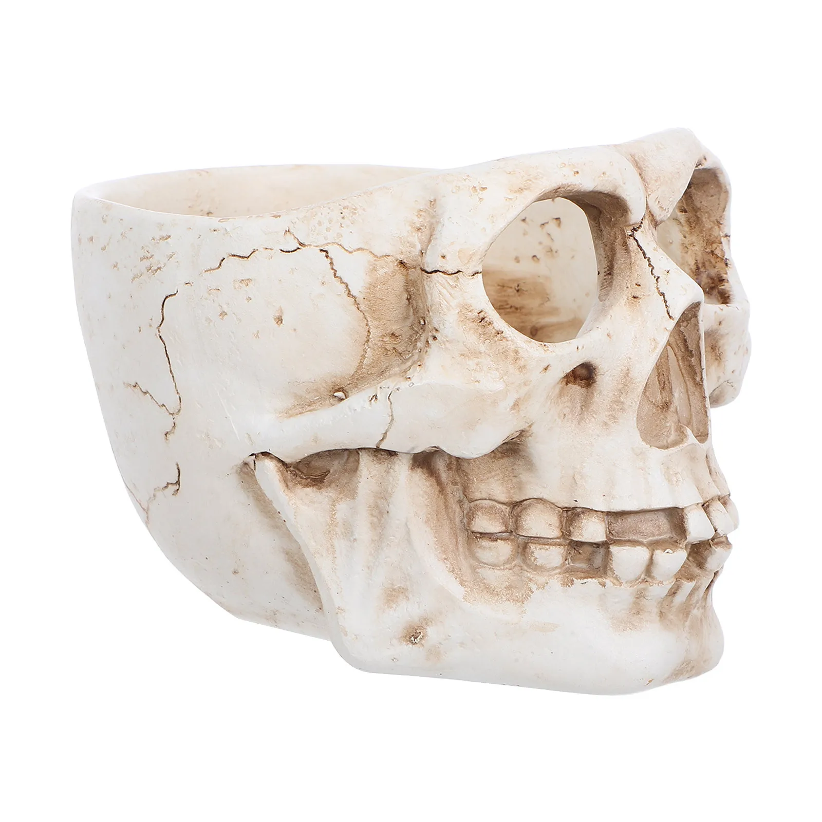 

1Pcs Skull-Shaped Planter Resin Flower Pot High Strength Material Stable Wear-Resistant Potted Decor Home Bar Skull-Shaped Pot