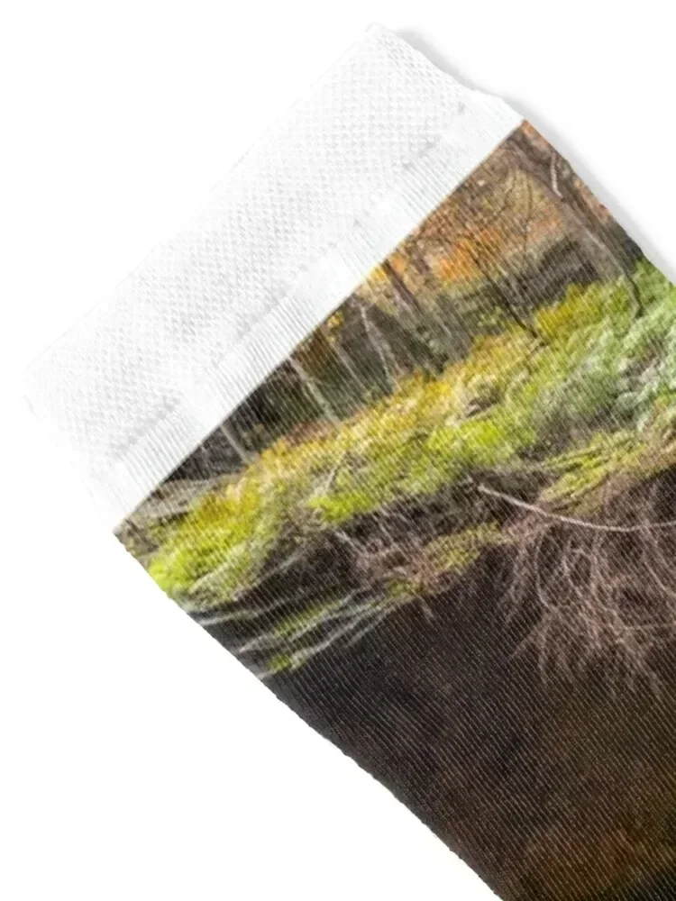 Conkle's Hollow in Hocking Hills, Ohio Socks men cotton high quality Run japanese fashion short Socks For Girls Men's