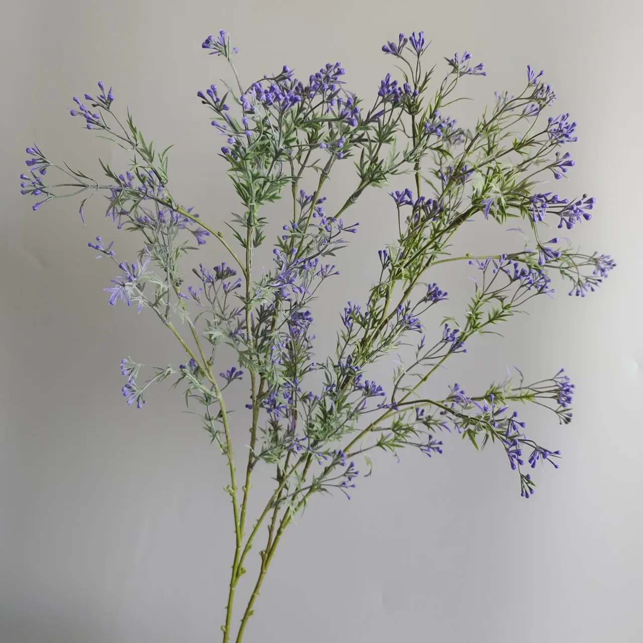 5 Stück/Set Künstliche 5-Zweigige Sellerie-Blumen, Gypsophila, Kunstblumen für Hochzeitsdekoration, Party, Blumenarrangement, Bouquet, Wohnaccessoires – Detail 14