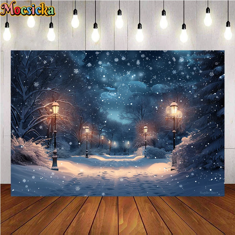 Mocsicka Winter Christmas Photography Background Park Path Holiday Party Adult Child Portrait Photo Backdrops Studio