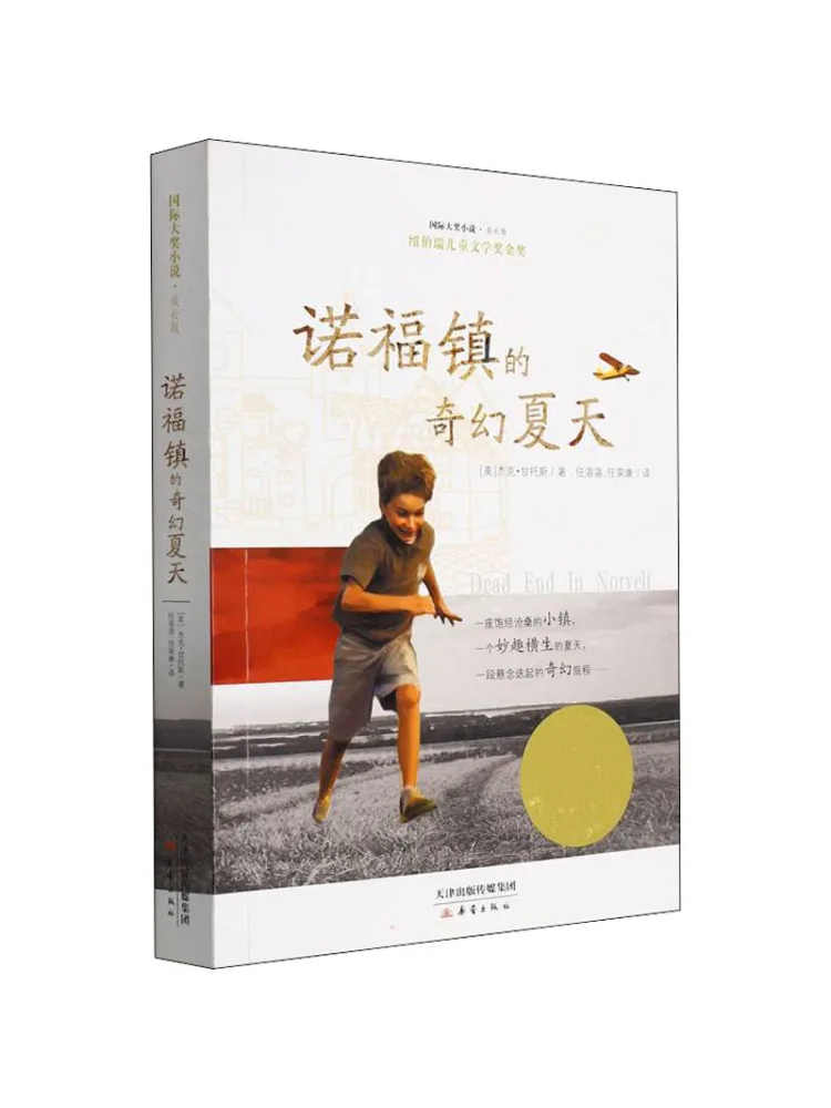 

Книга-Winshare The Fantastic Summer в городе Novo