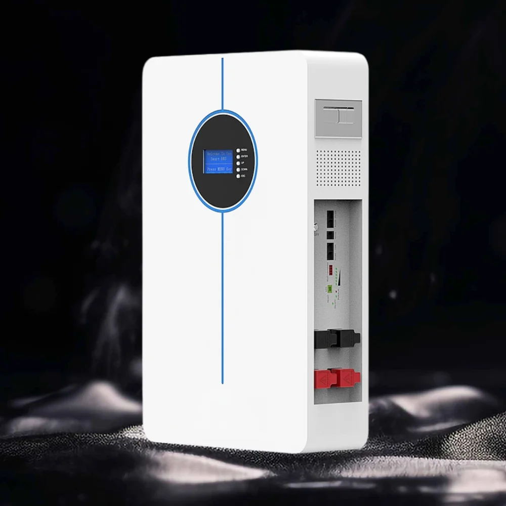 11000 Cycle Lifespan 51.2V LiFePO4 Battery Pack 2.5kwh - 15kwh Capacity IP65 Protection BMS AC Wall Mounted Battery