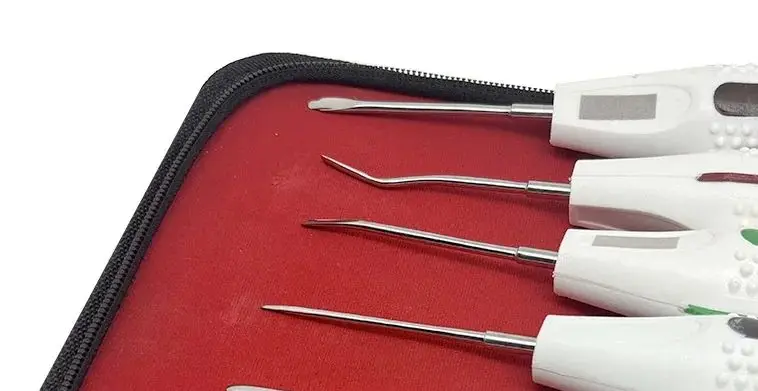 

8Pcs/set Dental Tool Luxating Elevator Curved Root Elevator Kit Minimally Invasive Surgical Tooth Extraction Dentistry Tools