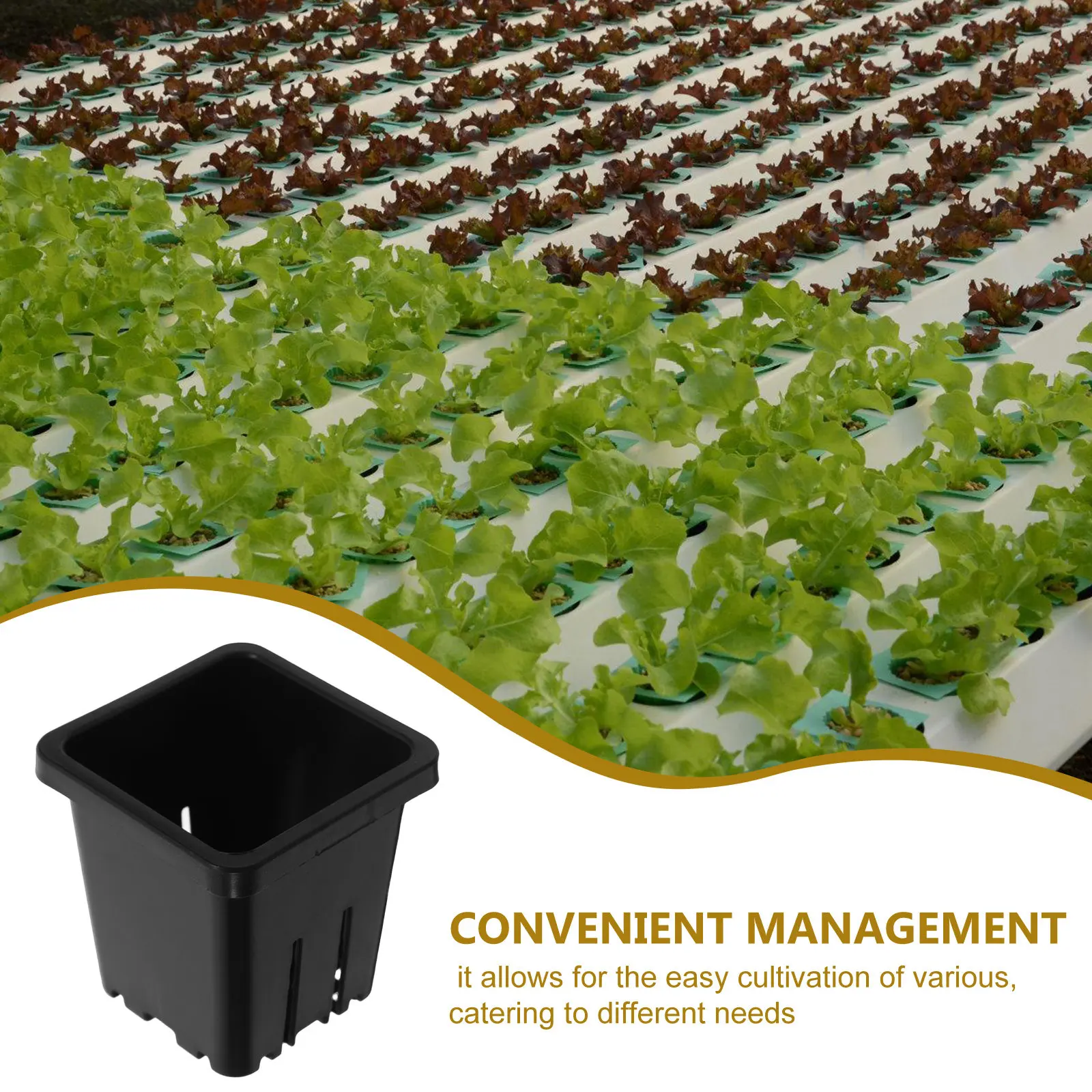 10Pcs Hydroponic Mesh Planting - Indoor Plants review and price
