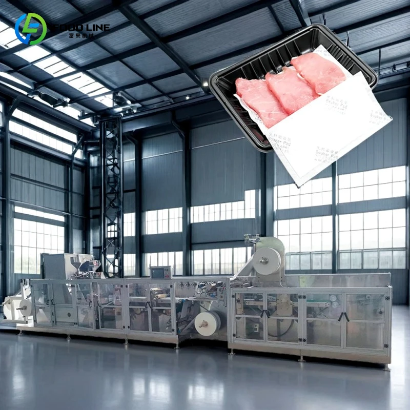Customized Automatic Food Absorbent Pad Making Machine PLC Controlled High Speed for Meat Poultry and Fruit Packaging