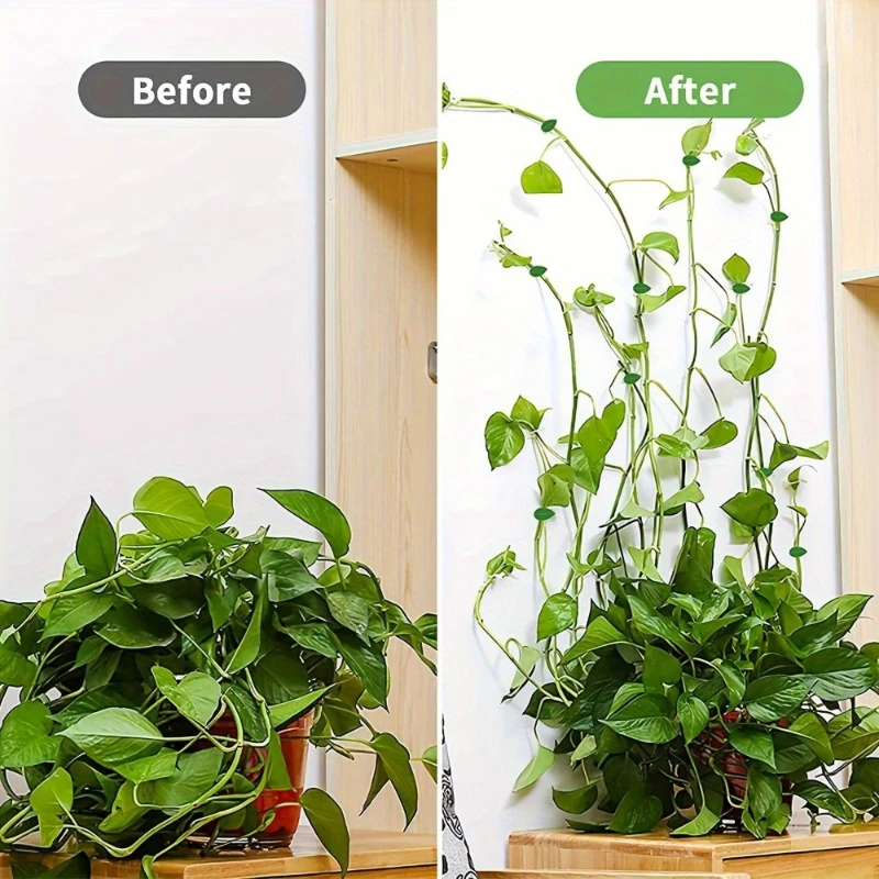 22pcs Seamless Green Plant Fixator Household Wall Climbing Buckles Green Ivy Vine Climbing Artifact Gardening Accessories