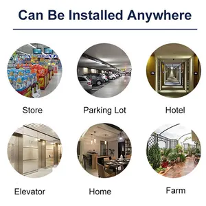 Fake Dome -Überwachungskamera mit rotem Licht, Dummy, batteriebetrieben, ohne notwendige Verkabelung, Innen- und Außenbereich, 1PC 6 Hauptverkäufe Camara -Fehldecke - №5